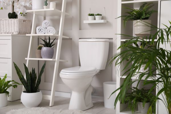 Toilet Repair in Ellicott City