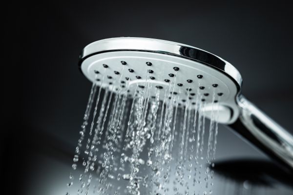 Cost of Shower Head Replacement in Ellicott City