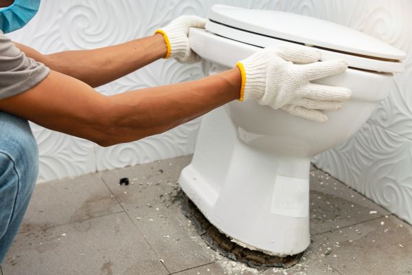 Cost of Toilet Removal in Ellicott City