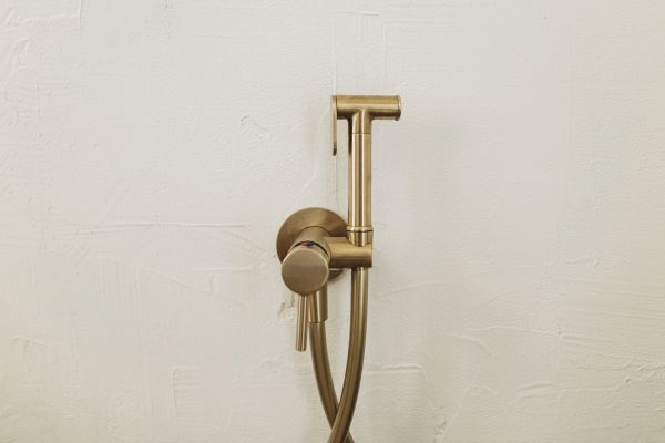 Bidet Plumbing in Ellicott City