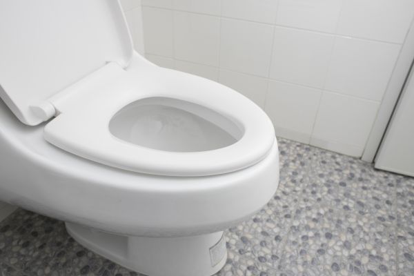 Cost of New Toilet Installation in Ellicott City